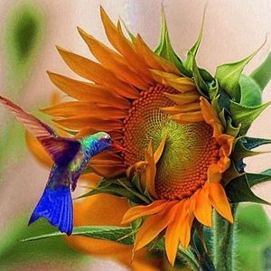 Hi! Thank you so much for stopping by.